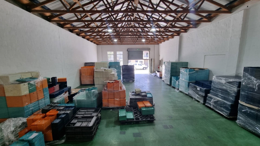 To Let commercial Property for Rent in Observatory Western Cape